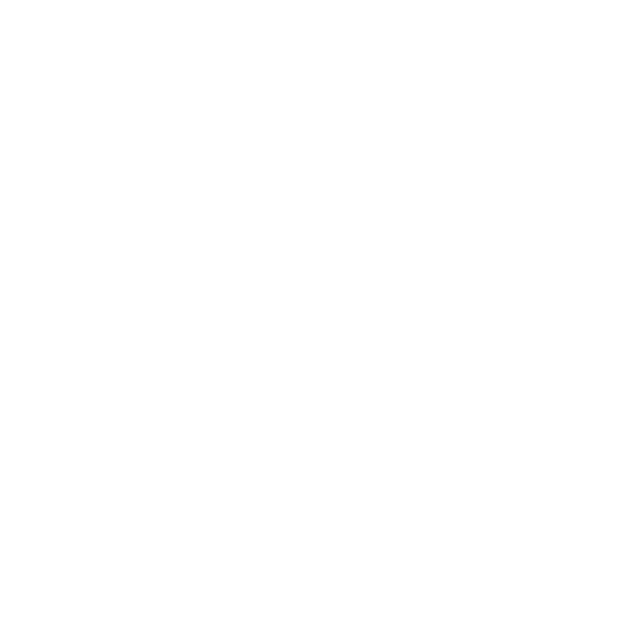 Statistics review icon