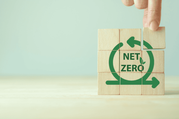 Navigating Net-Zero