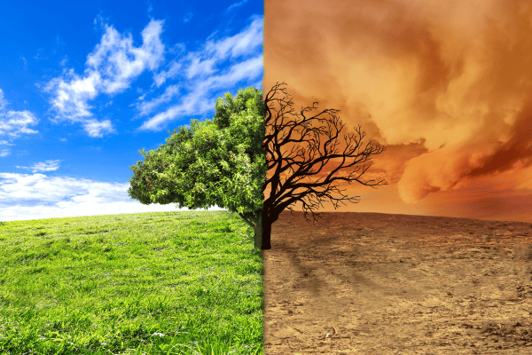 What is Climate Change?