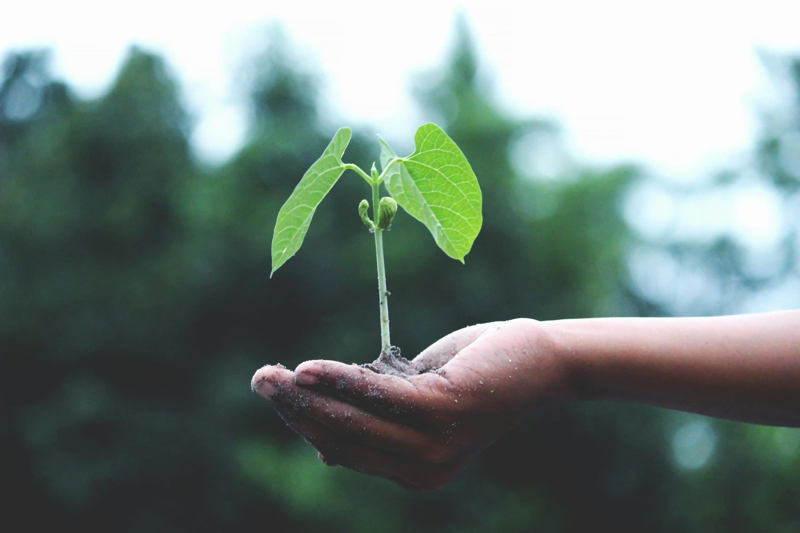 ESG Strategy & Integration
