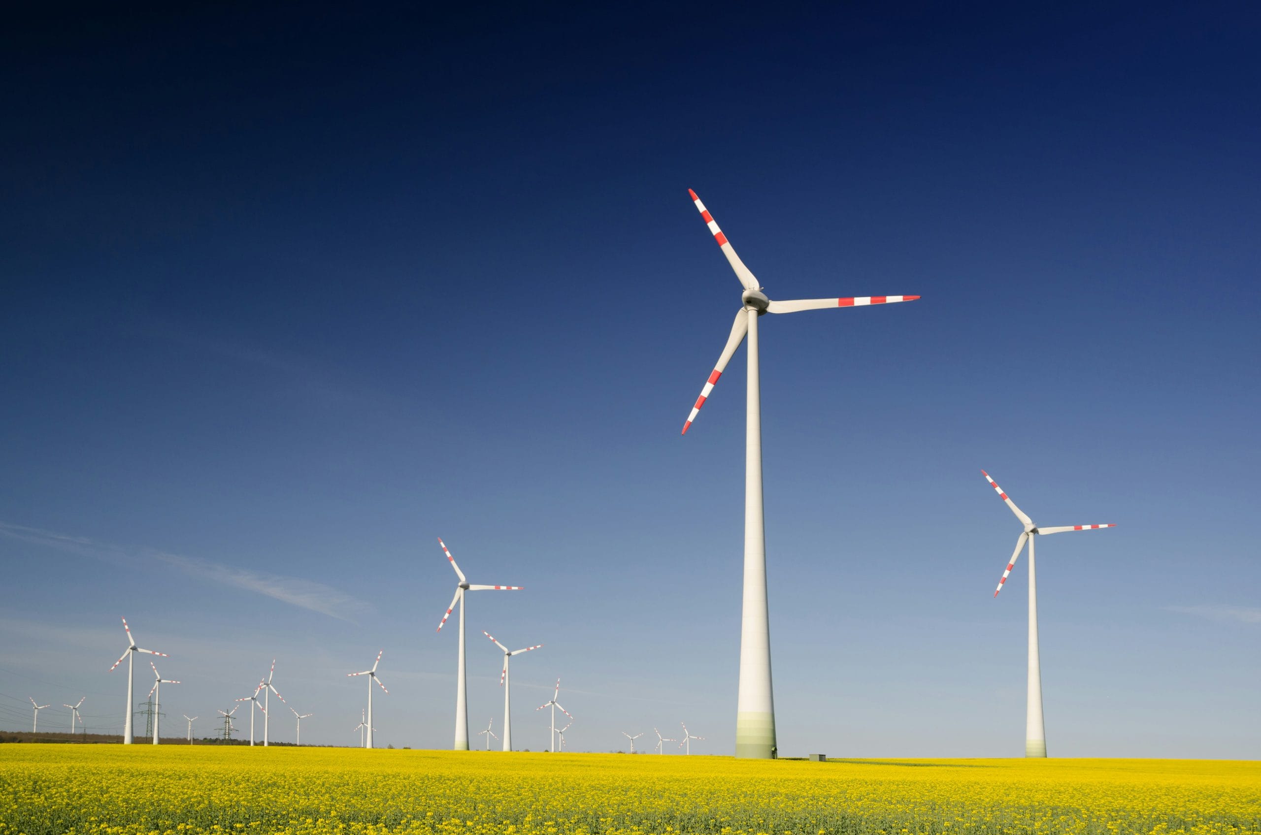 Implementing ESG